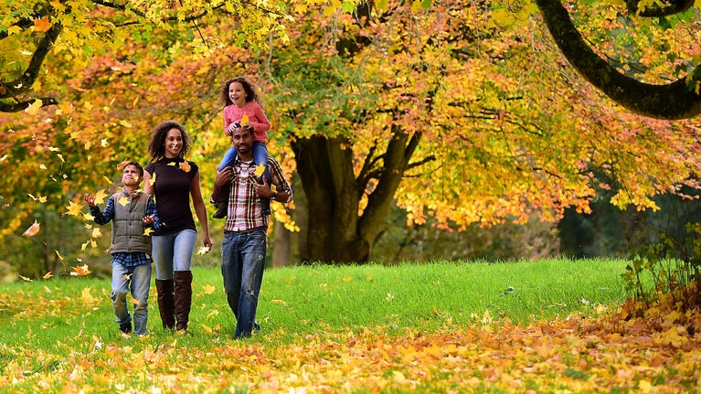 Family walking in the woodland at Castle Ward, County Down
